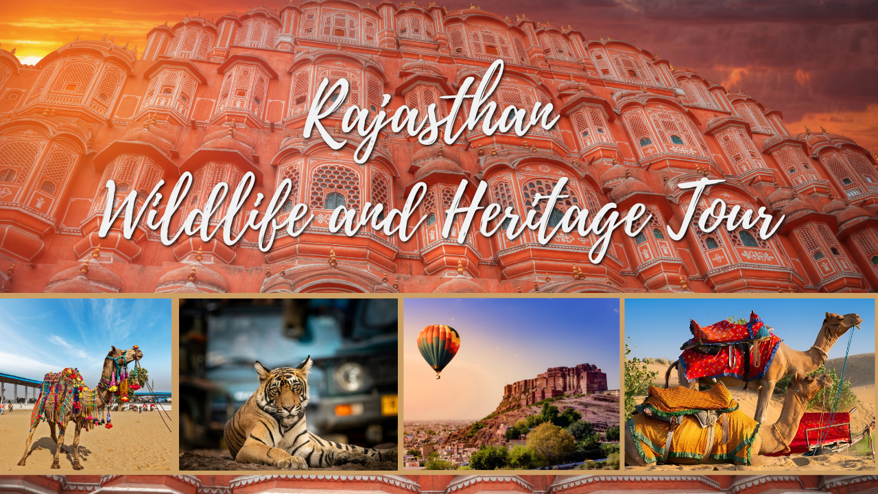 Wildlife and Heritage Tour (10 Days / 9 Nights)